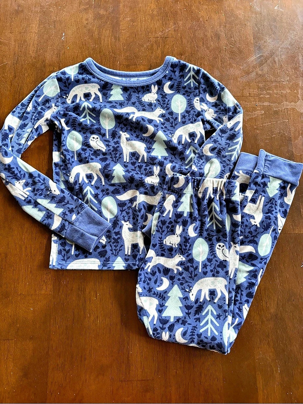Cat & Jack Kids Animal Pajama Set in Blue & Green